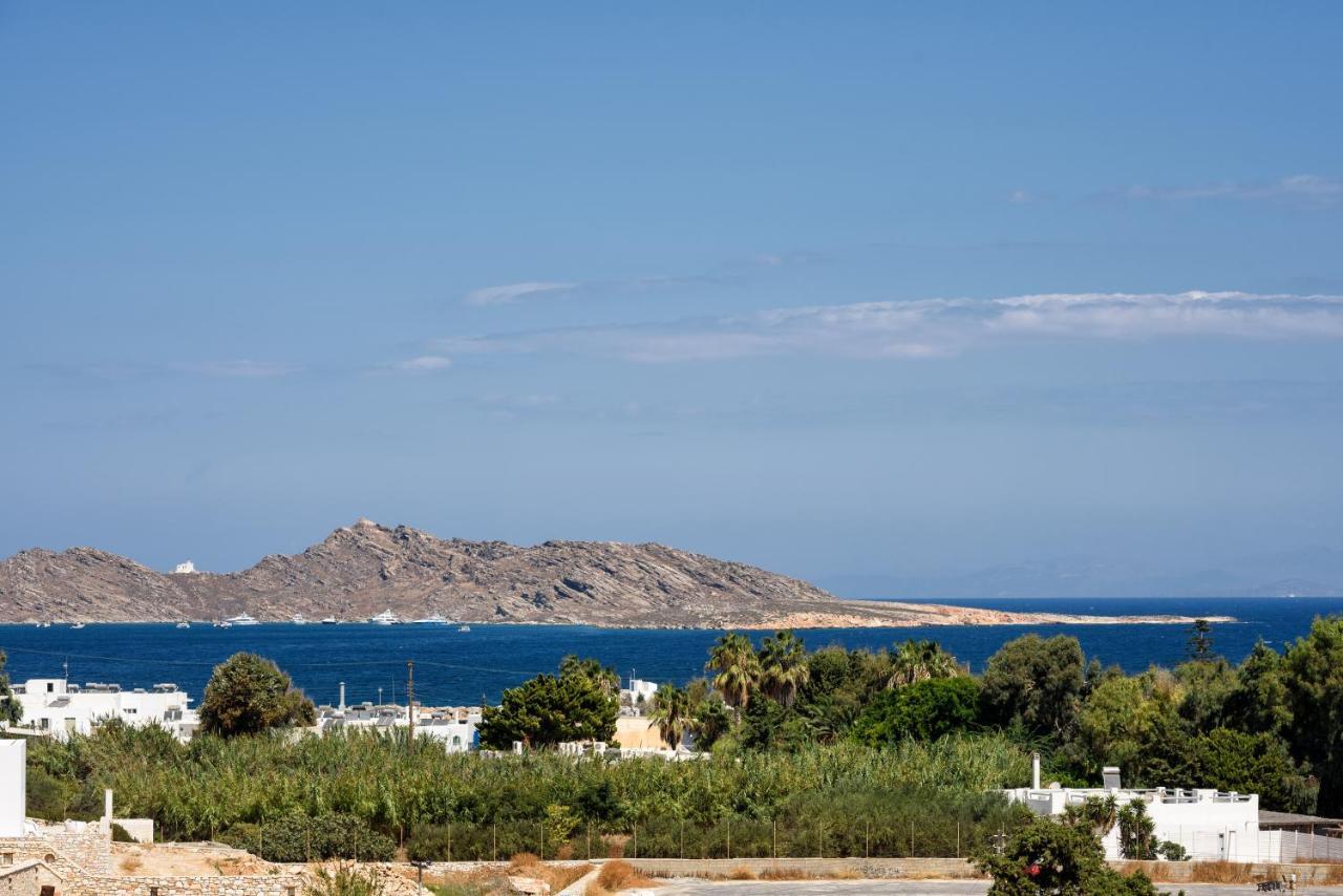 Hara'S Villa In Naousa , Paros Экстерьер фото